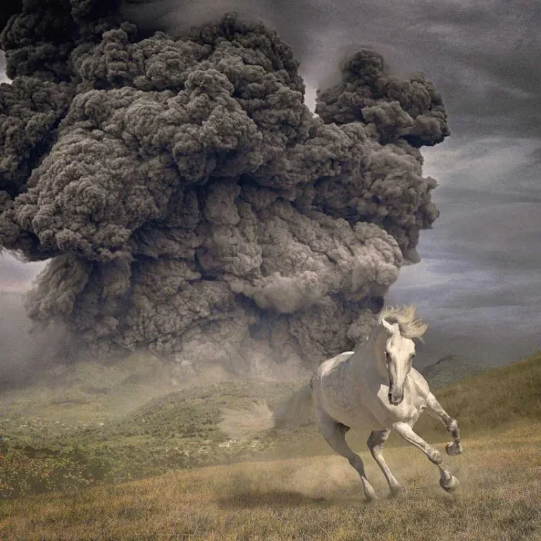 The White Buffalo – Year Of The Dark Horse